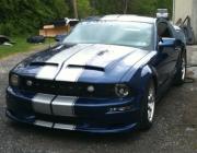 fast shelby gt's Avatar