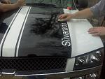 placing racing stripes