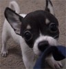 gspot's Avatar
