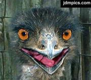 christopherboon's Avatar