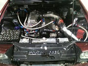 Whips Gone Wild's Avatar